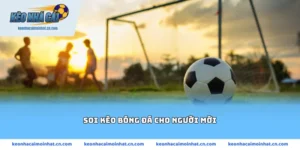 soi kèo bóng đá cho người mới