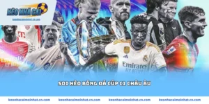 soi kèo bóng đá Cúp C1 châu Âu