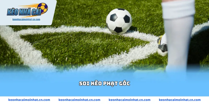 soi kèo phạt góc