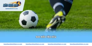 soi kèo tài xỉu