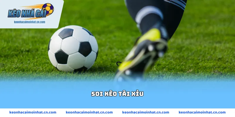 soi kèo tài xỉu