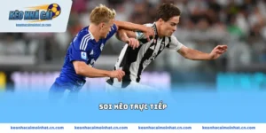 soi kèo trực tiếp